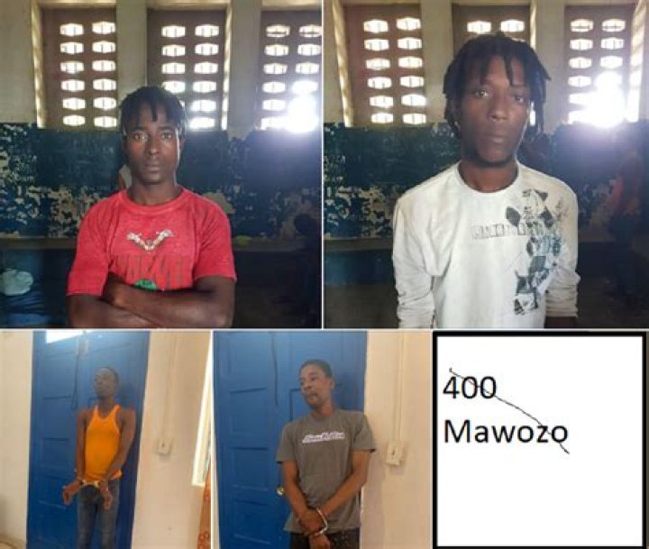 
400 Mawozo Gang Wikipedia, Who, Nationality, Biography 
