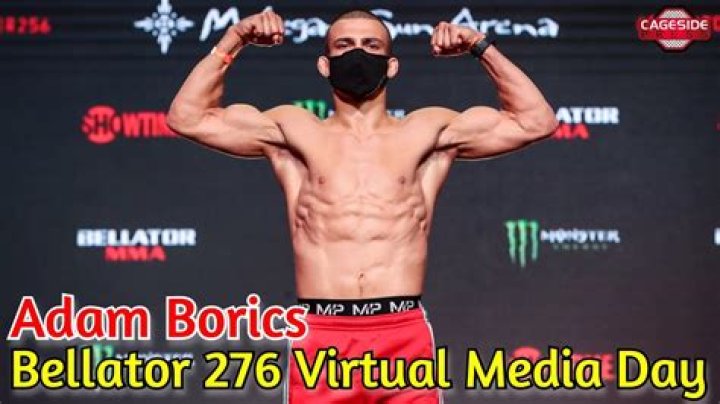 Adam Borics Height, Weight, Net Worth, Age, Birthday, Wikipedia, Who, Nationality, Biography