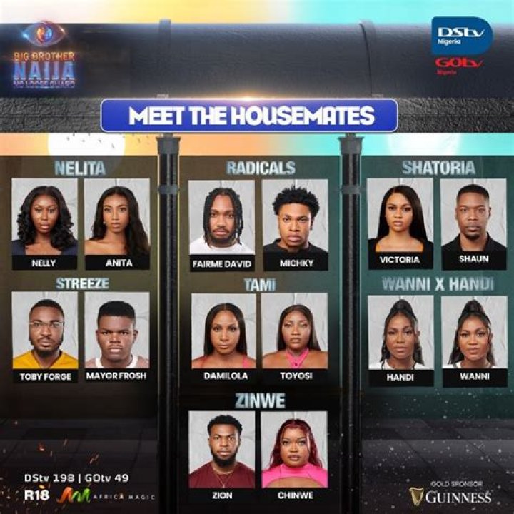
BBNajia Season 7: Housemates Reveal Their Alliances 