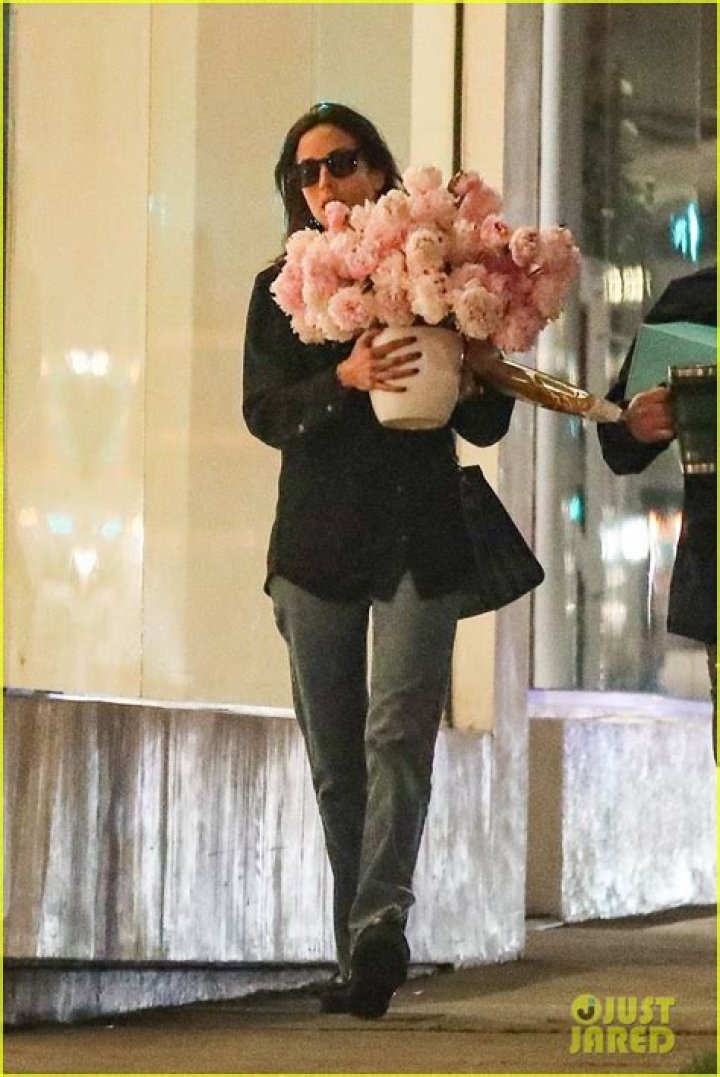
Brad Pitt Sent Valentine’s Day Flowers to Rumored Girlfriend Ines de Ramon 