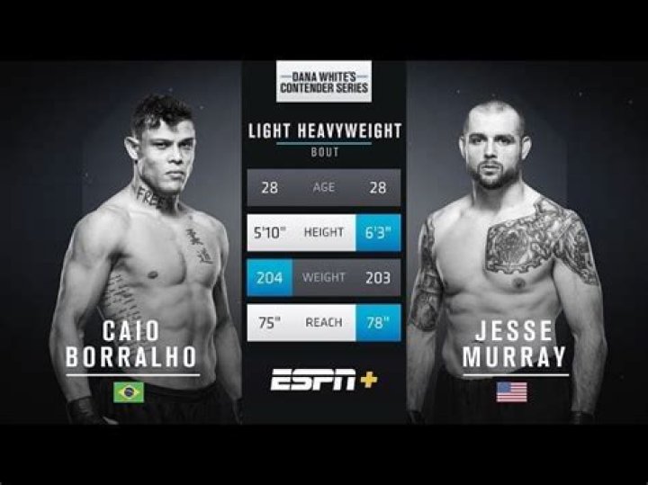 
Caio Borralho Height, Weight, Net Worth, Age, Birthday, Wikipedia, Who, Nationality, Biography 