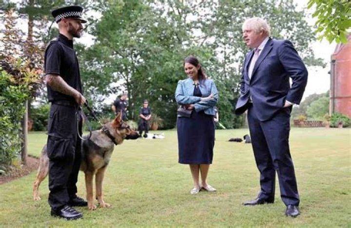 Cassia Peaches Johnson Height, Net Worth, Age, Wiki, Who, Facts, Biography