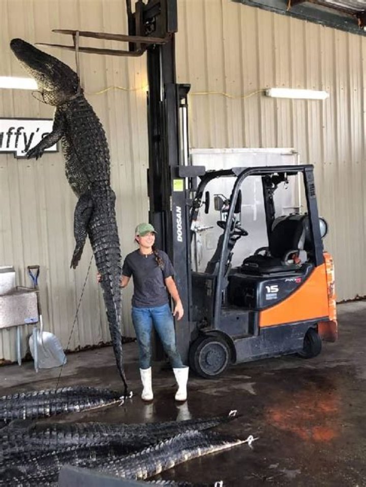 Choo Choo Height, Weight, Net Worth, Age, Birthday, Wikipedia, Who, Nationality, Biography