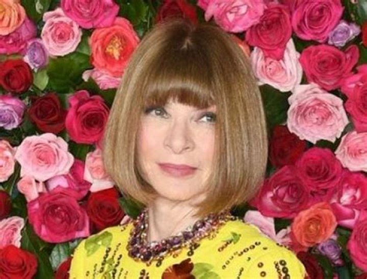 Dana Anna Wintour Height, Weight, Net Worth, Age, Birthday, Wikipedia, Who, Instagram, Biography