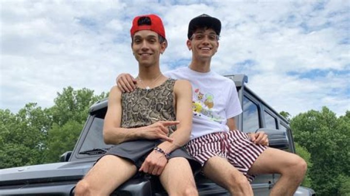 Darius Dobre-Mofid Height, Weight, Net Worth, Age, Birthday, Wikipedia, Who, Instagram, Biography