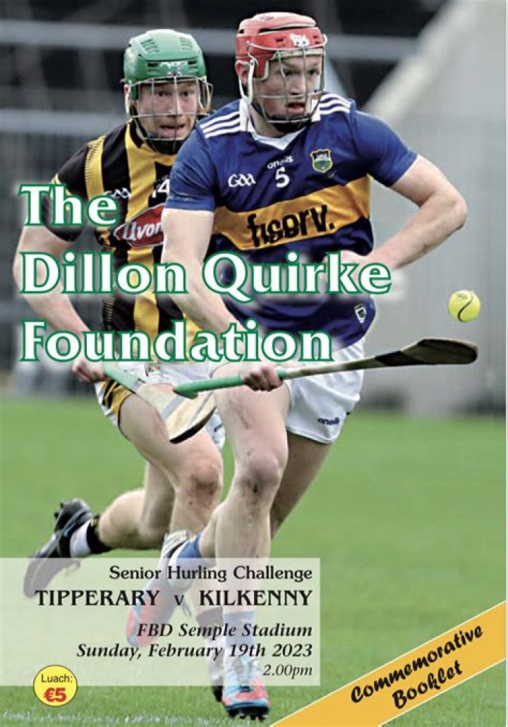 
Dillon Quirke died at 24 while hurling in a competition. 