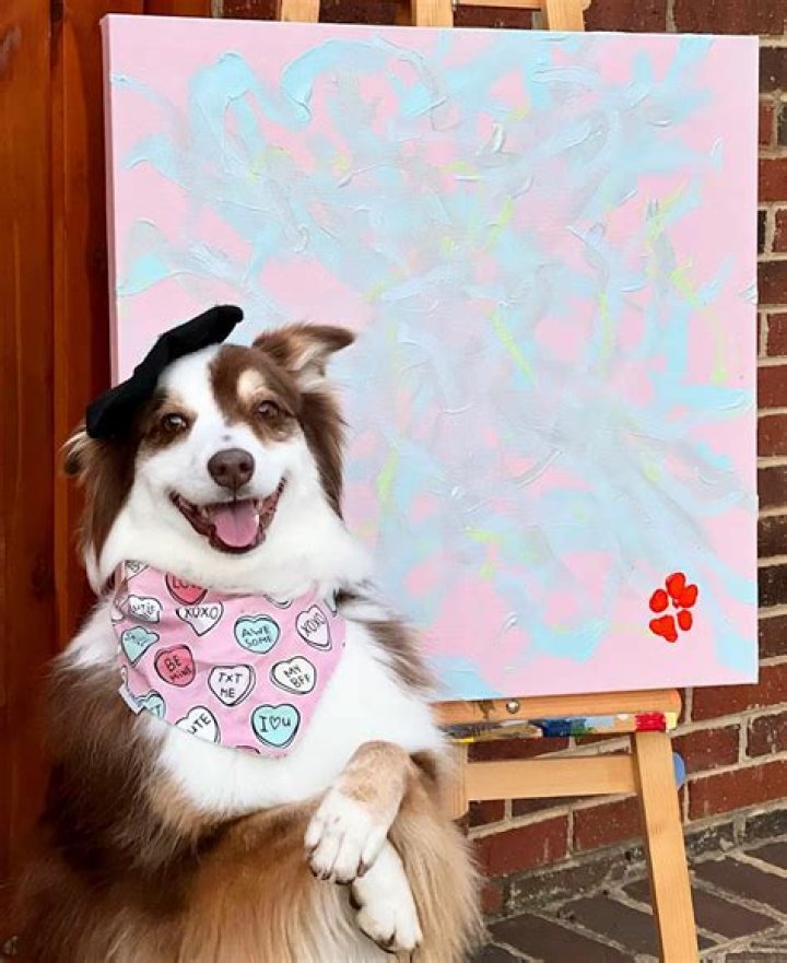 
Doggie Degas! Pup Who Paints Sells Art for Charity and Has Raised Thousands 