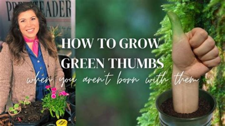 Forrest Griffin Wife Jaime Logiudice Has A Green Thumb And Loves Indoor Plants