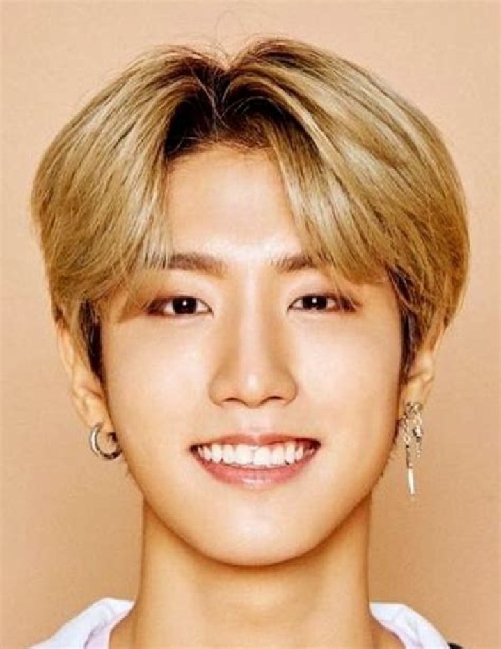 Han Jisung Height, Weight, Net Worth, Age, Birthday, Wikipedia, Who, Nationality, Biography