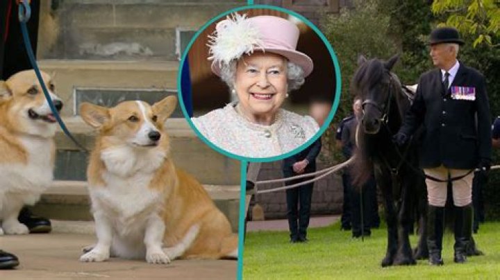 
Here’s What Could Happen to Queen Elizabeth’s Corgis After Her Death 