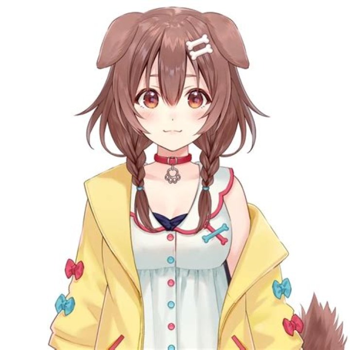 Inugami Korone Height, Weight, Net Worth, Age, Birthday, Wikipedia, Who, Nationality, Biography