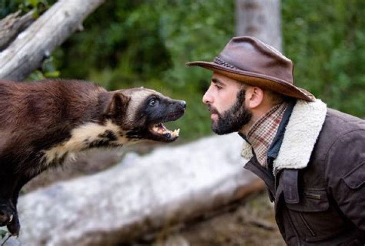 Is Coyote Peterson Married? His Bio., Age, Wife, Height and Net worth