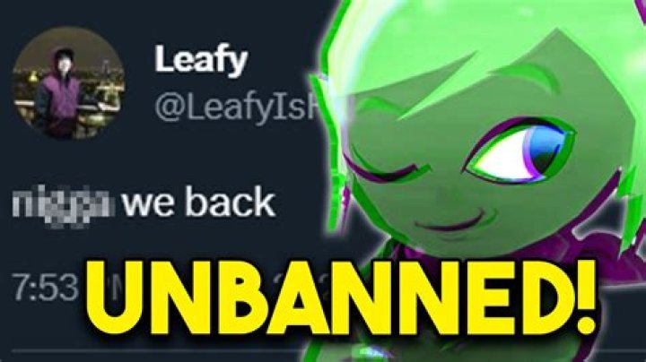 Is Leafyishere Arrested? What Happened To Leafy? Is Leafyishere In Jail?