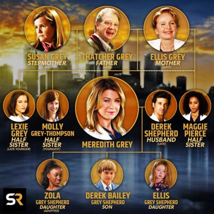 
Is Meredith Grey Leaving Grey Sloan? How Old Is Meredith Grey In Real Life? How Many Kids Does Meredith Grey Have? 