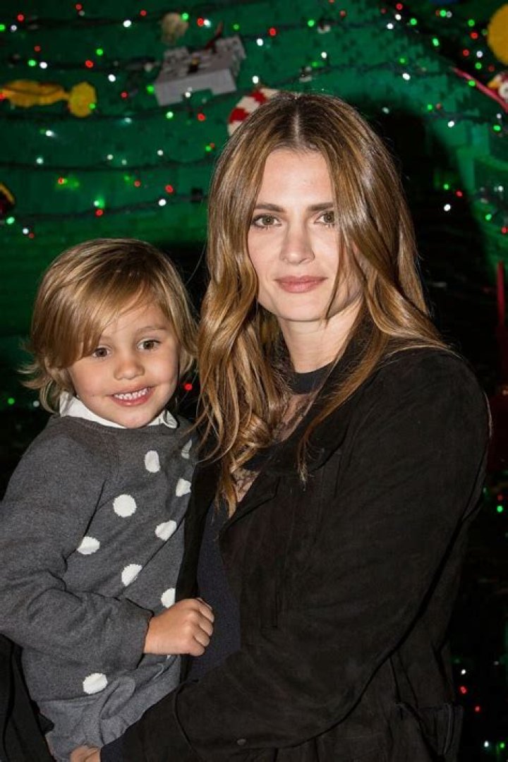Is Stana Katic Having A Baby With Kris Brkljac? Pregnancy Facts Or Rumors Checked
