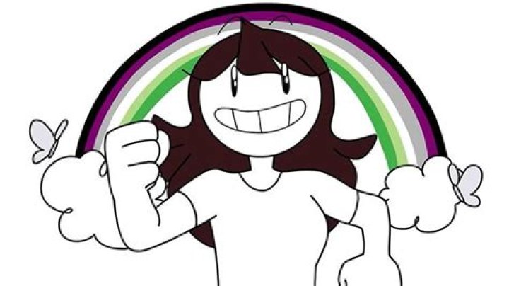 
Jaiden Animations Sexuality and Pronouns, What Is Aroace Sexuality? 