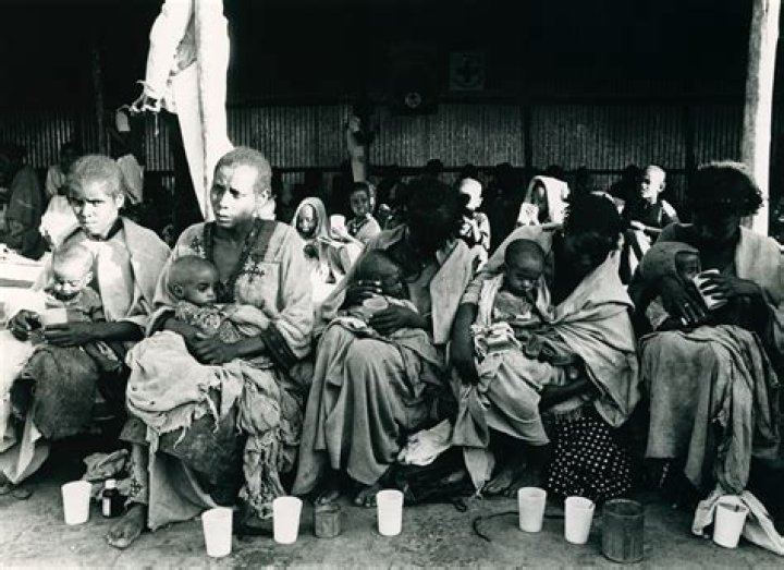 
Josh Kefu Age, Birthday, Wikipedia, Who, Nationality, Biography 