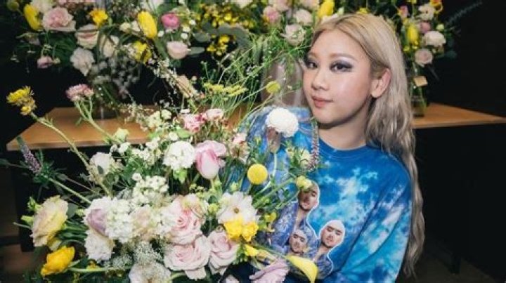 
Joyce Cheng, a singer, How much is she rich? Net Worth Exceeds $5 Million in 2022 