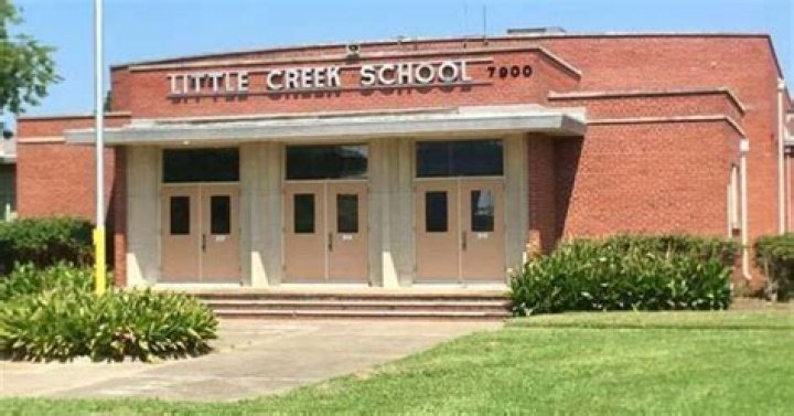
Letty M Lopez: Virginia mom is charged after her 6-yr-old child brings LOADED handgun to Little Creek Elementary School 
