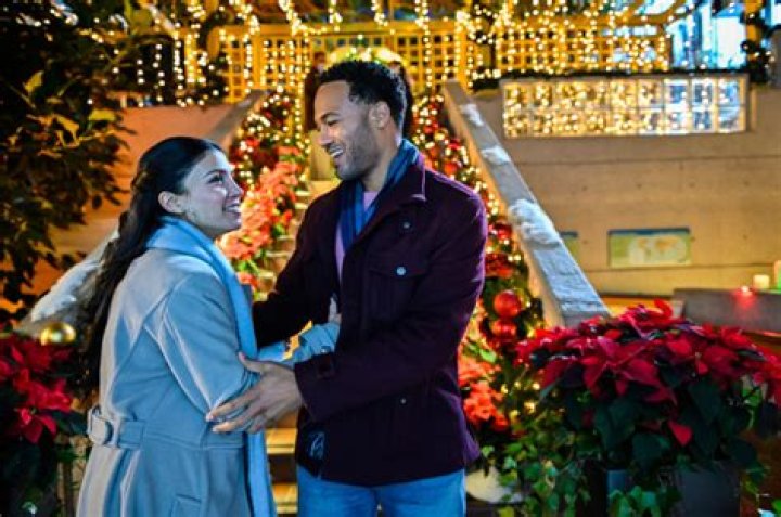 
Lifetime Movie Scentsational Christmas Cast Is Led By Nazneen Contractor and Mykee Selkin 