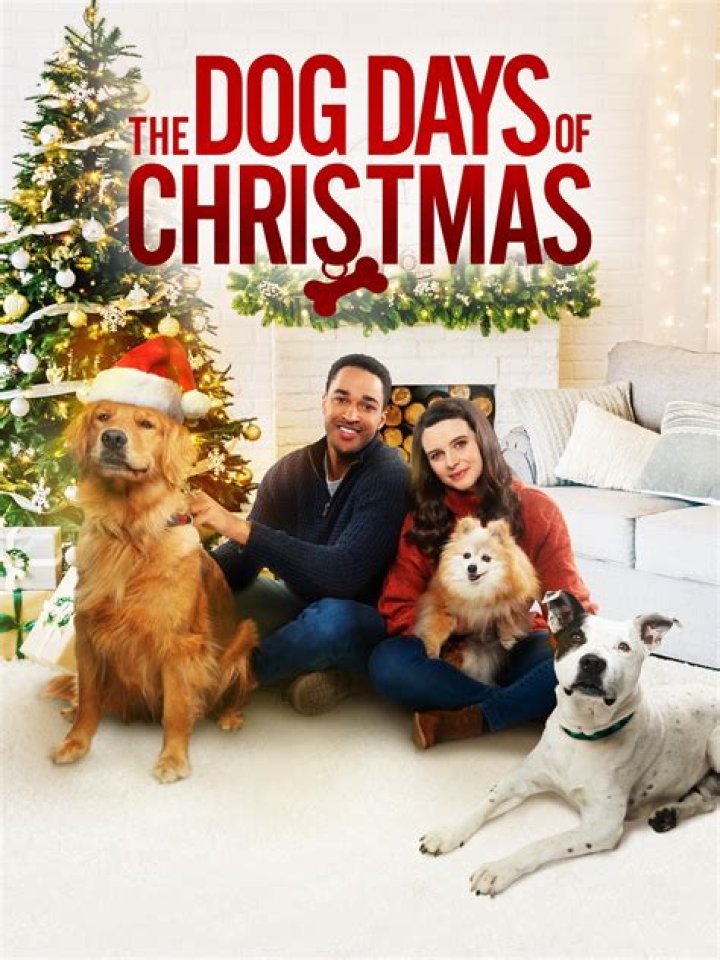 
Lifetime’s The Dog Days of Christmas Cast & Movie Review 