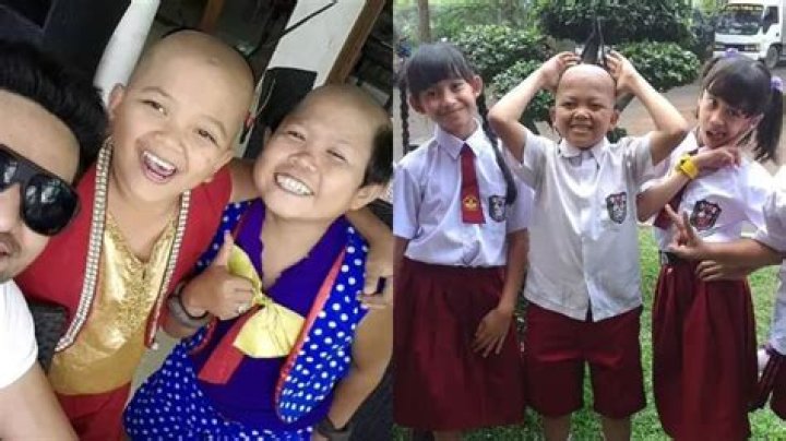 Megi Irawan Height, Weight, Net Worth, Age, Birthday, Wikipedia, Who, Nationality, Biography