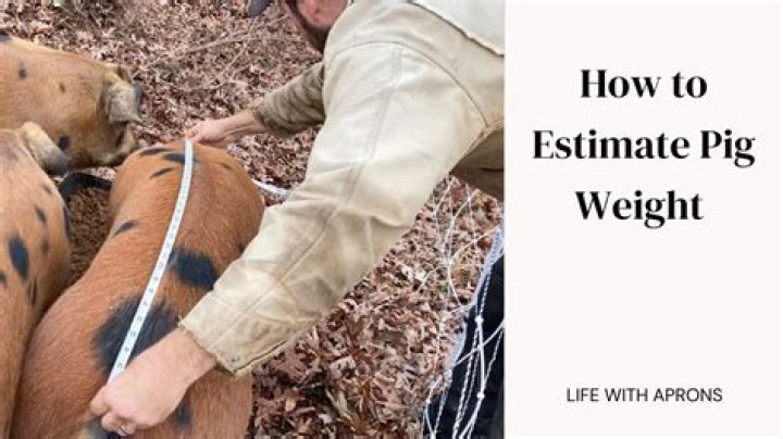 Mummy Pig Height, Weight, Net Worth, Age, Birthday, Wikipedia, Who, Nationality, Biography