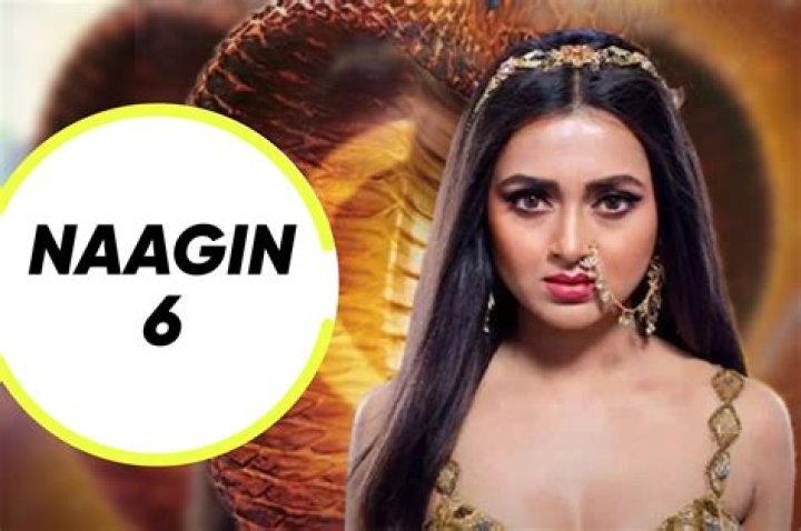 
Naagin 6 Written Update 11th Septebmer 2022 Episode Rishabh Gets Angry At Pratha 