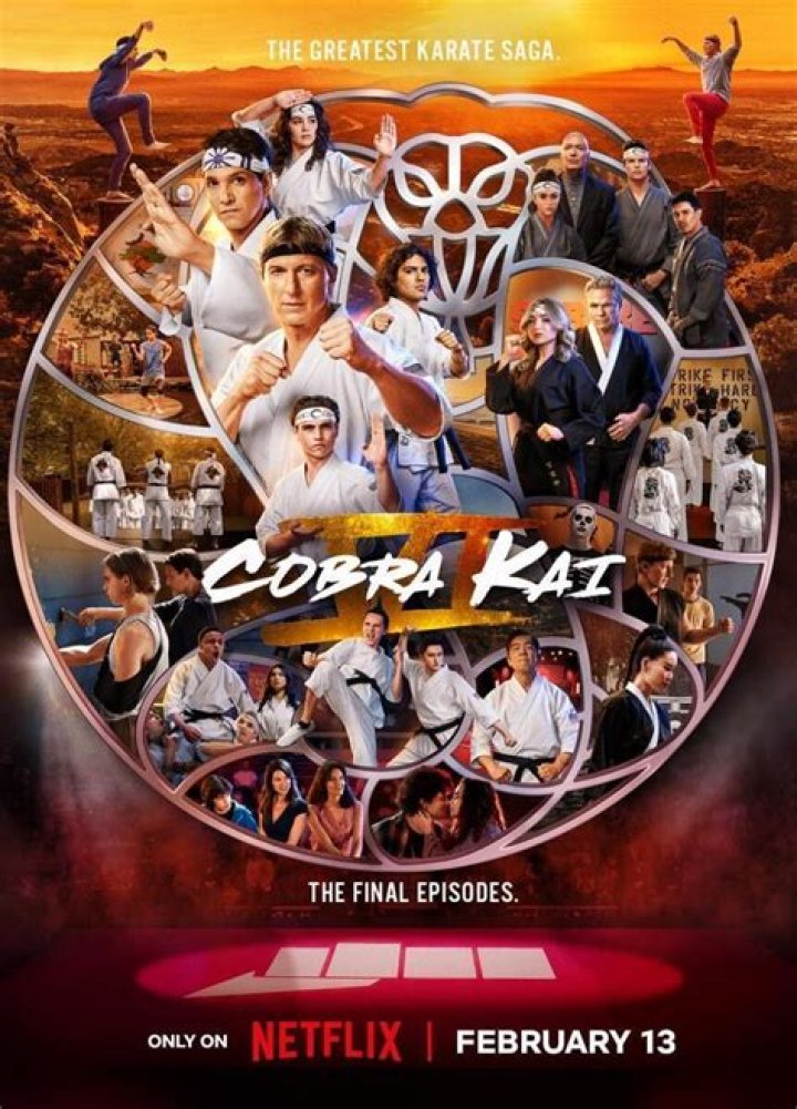 
Netflix hit series Cobra Kai to end with Season 6, announcement trailer out 