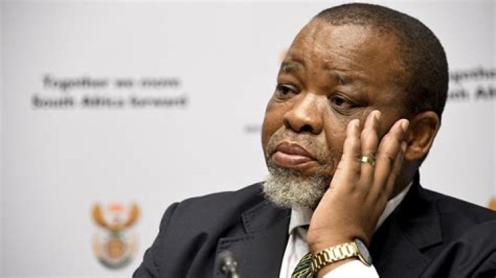 Nolwandle Mantashe Height, Weight, Net Worth, Age, Birthday, Wikipedia, Who, Instagram, Biography