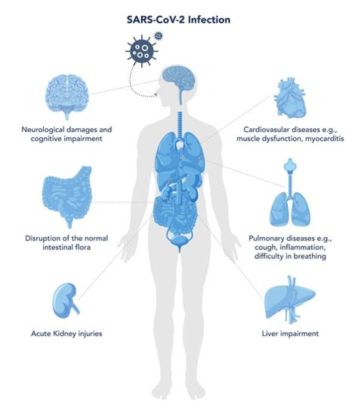 
Over 14.7 mn US kids infected with Covid 