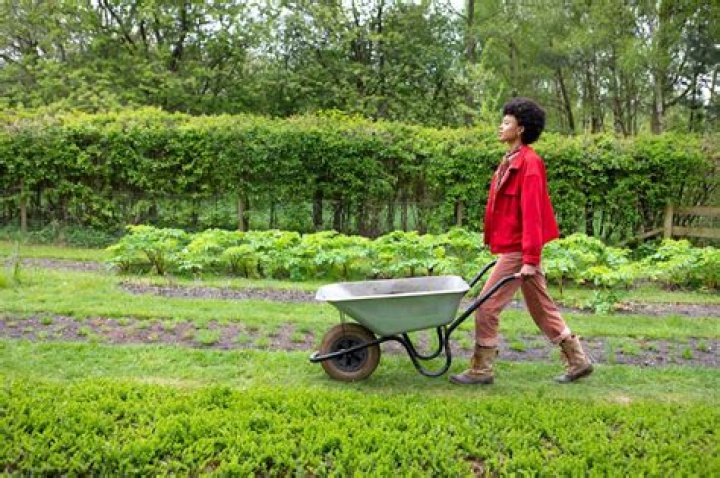 Poppy Okotcha Height, Weight, Net Worth, Age, Birthday, Wikipedia, Who, Nationality, Biography