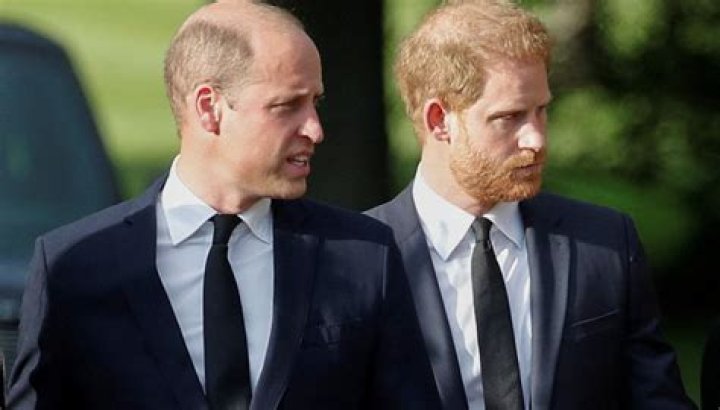 
Prince Harry, William: Lip reader reveals conversation between feuding brothers 