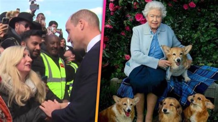 
Prince William Gives An Update On Queen Elizabeth’s Corgis: ‘Spoiled Rotten, I’m Sure.’ 
