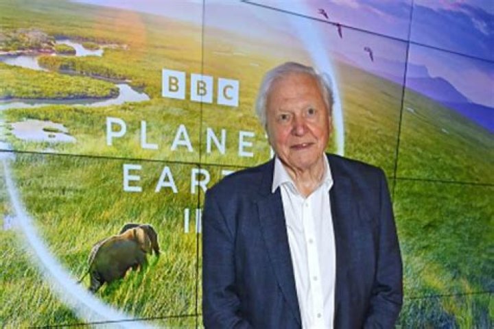 Robert Attenborough Height, Weight, Net Worth, Age, Birthday, Wikipedia, Who, Instagram, Biography