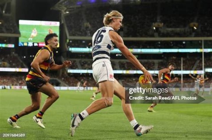 
Sam De Koning Height, Weight, Net Worth, Age, Birthday, Wikipedia, Who, Nationality, Biography 