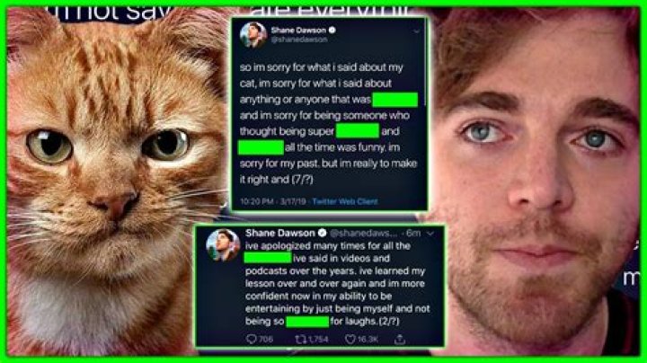 Shane Dawson Drama On Reddit All About? Controversy Due To His Cat Explained!