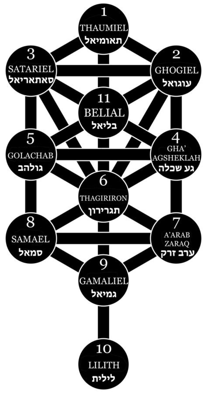 Tom Volk Biography, Cause of Death, Wikipedia, Age, Career