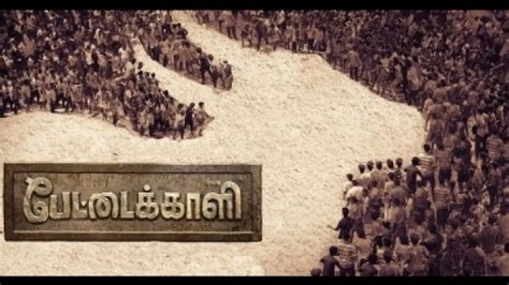 
Vetri Maaran’s Jallikattu-based series ‘Pettaikaali’ to stream from Diwali 