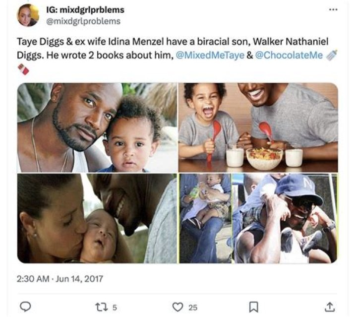 Walker Nathaniel Diggs: 15 interesting facts you need to know about Taye Diggs’ son