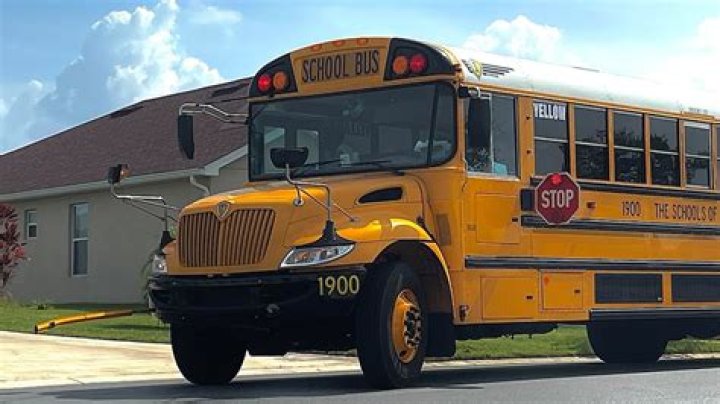 What did James Anthony Cohen do? Charges against Brevard County school teaching assistant explored