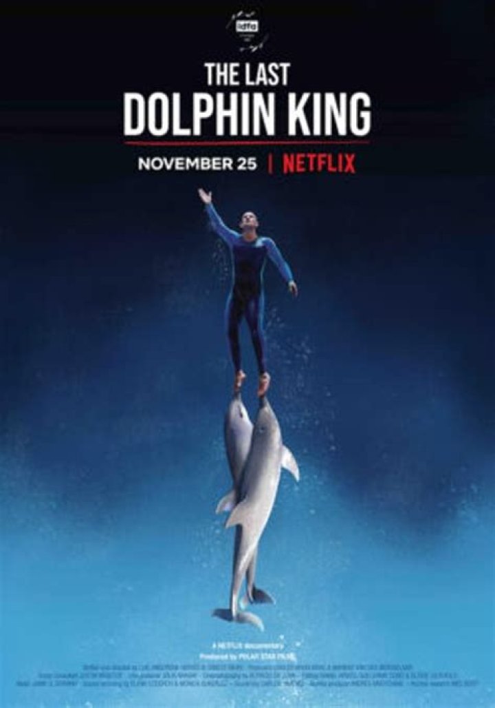 
What Happened To Jose Luis Barbero? The Last Dolphin King Cause Of Death 