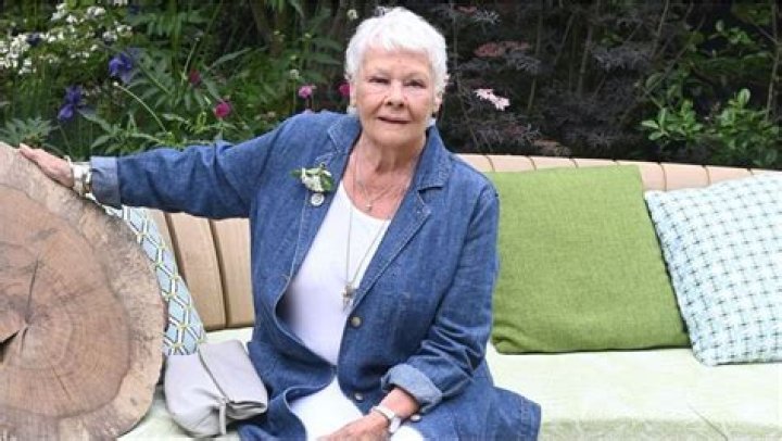 
What is macular degeneration? Judi Dench eyesight loss explored amid worsening illness 