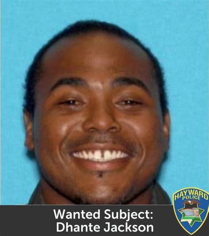 
Who Is Dhante Jackson? Suspect Of Sophia Jackson Murder Arrested Check Charges & Reports 
