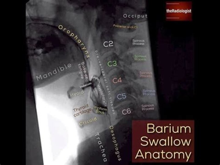 
Who Is Karen Swallow Prior and What Does She Do For Work? 