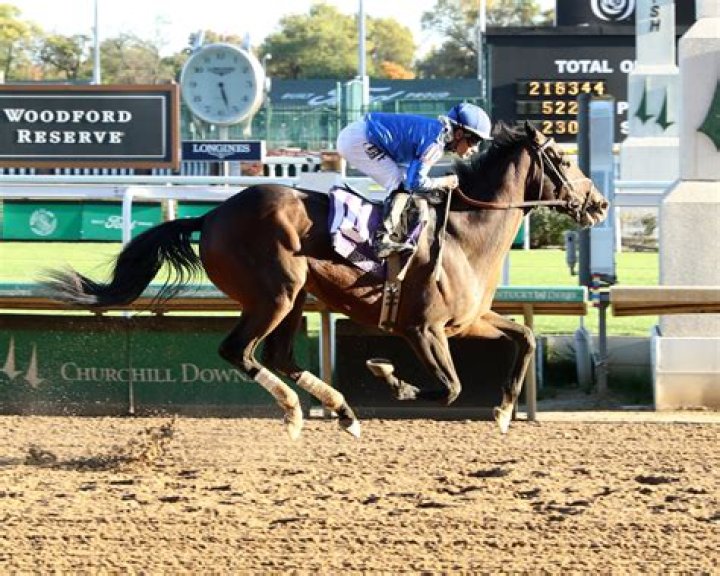 
Who Is Paul Smith Racehorse Owner? Wikipedia & Bio, Meet His Partner On Instagram 