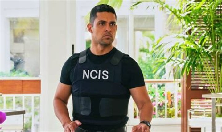 
Who Plays Torres In Ncis? How Old is Torres In Ncis? 