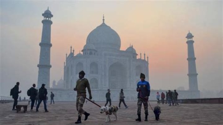 
With pandemic scare behind, Taj city hopeful of tourism revival 