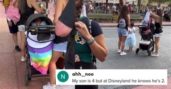 
Woman Hides Older Child in Infant Stroller to Avoid Paying for Extra Disney Park Ticket 
